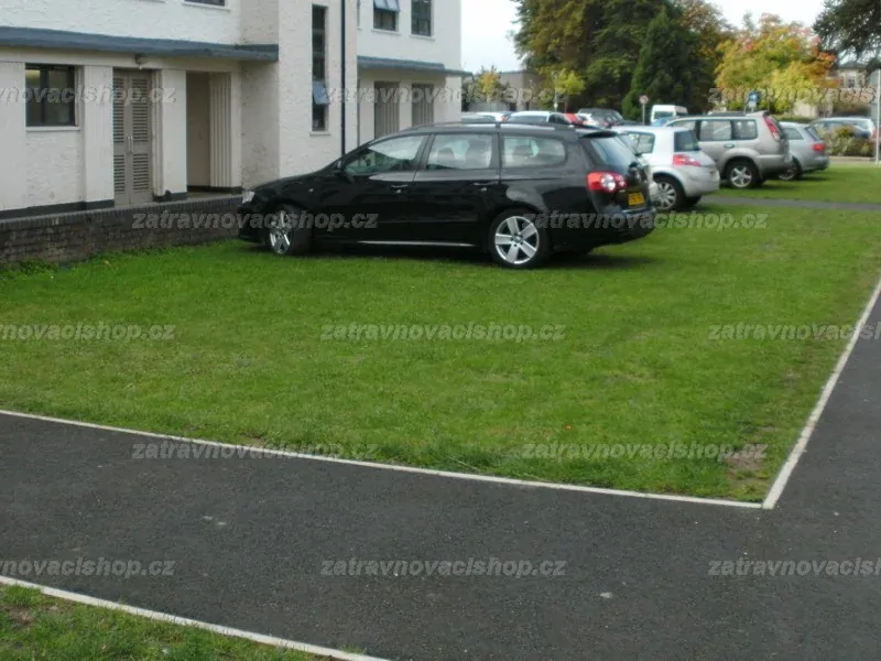Zatravňovací rohož Parkovací Premium 2x20