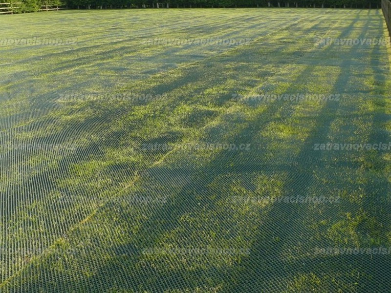 Zatravňovací rohož Parkovací Standard 2x5